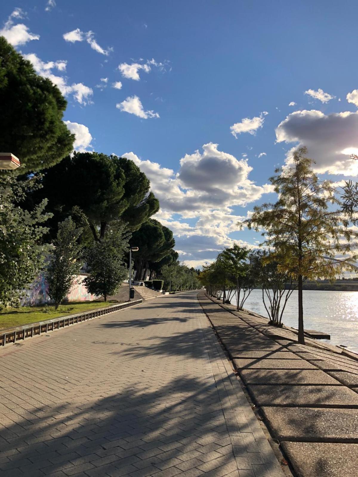 Tu Oasis De Lujo Junto Al Guadalquivir Appartement Séville